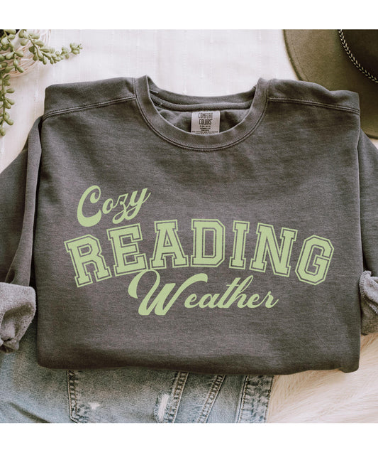 Cozy Reading Weather, Comfort Colors Reader Sweatshirt Bookish Sweatshirt Booklover Gift Read Sweatshirt Book Lover Shirt Book Core Crewneck