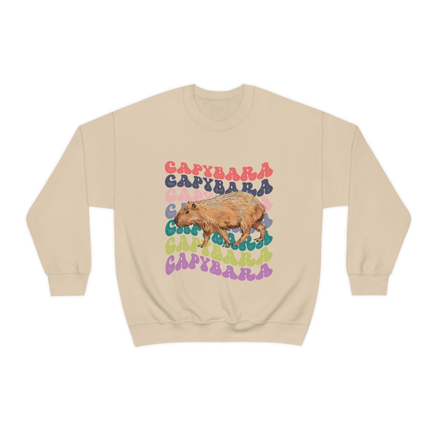 Capybara Shirt, Capybara Sweatshirt, Retro Crewnecks, Preppy Sweatshirt, Capybara Gift, Capybara Lover