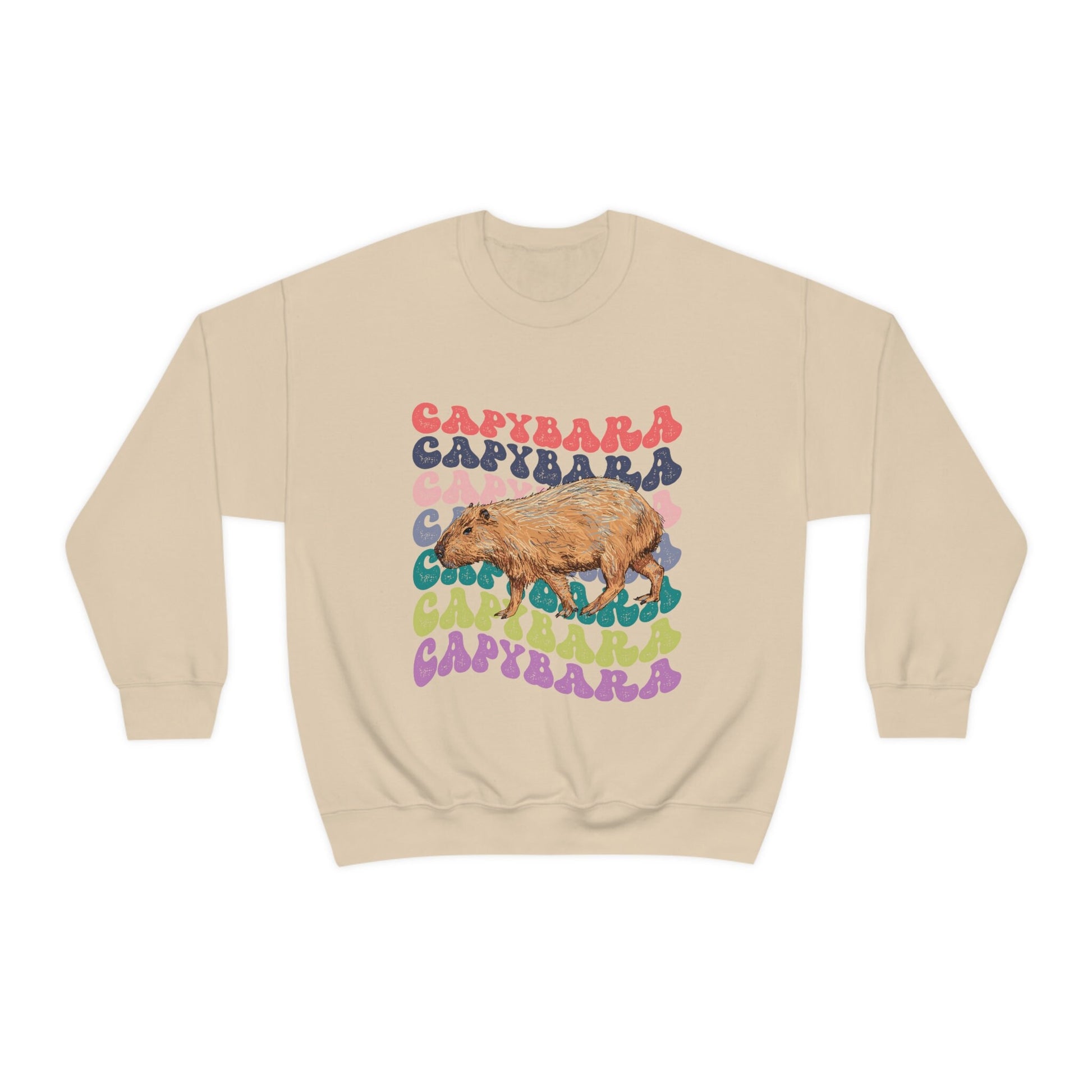Capybara Shirt, Capybara Sweatshirt, Retro Crewnecks, Preppy Sweatshirt, Capybara Gift, Capybara Lover