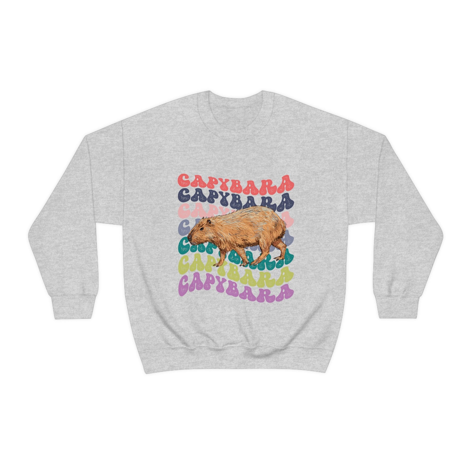 Capybara Shirt, Capybara Sweatshirt, Retro Crewnecks, Preppy Sweatshirt, Capybara Gift, Capybara Lover