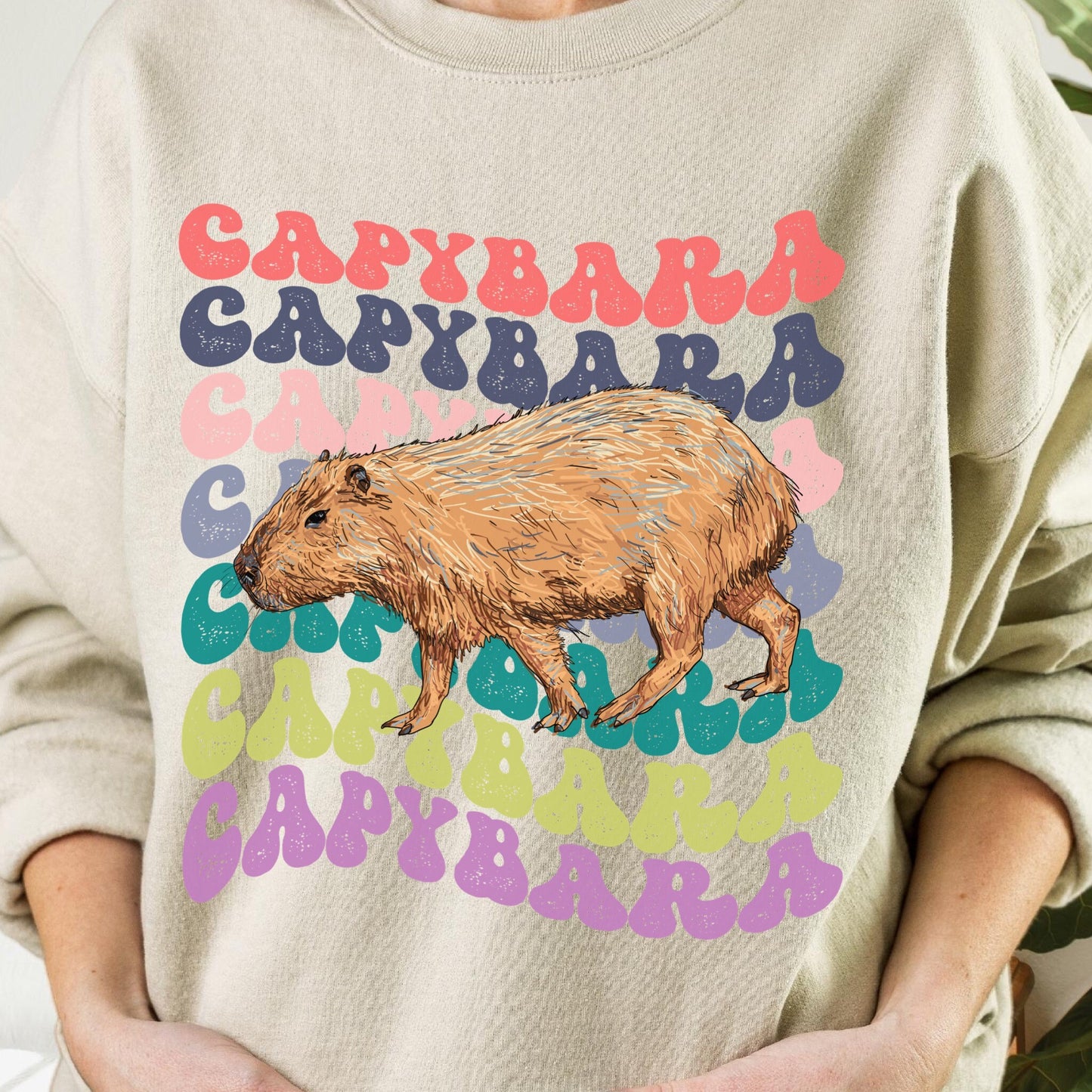 Capybara Shirt, Capybara Sweatshirt, Retro Crewnecks, Preppy Sweatshirt, Capybara Gift, Capybara Lover