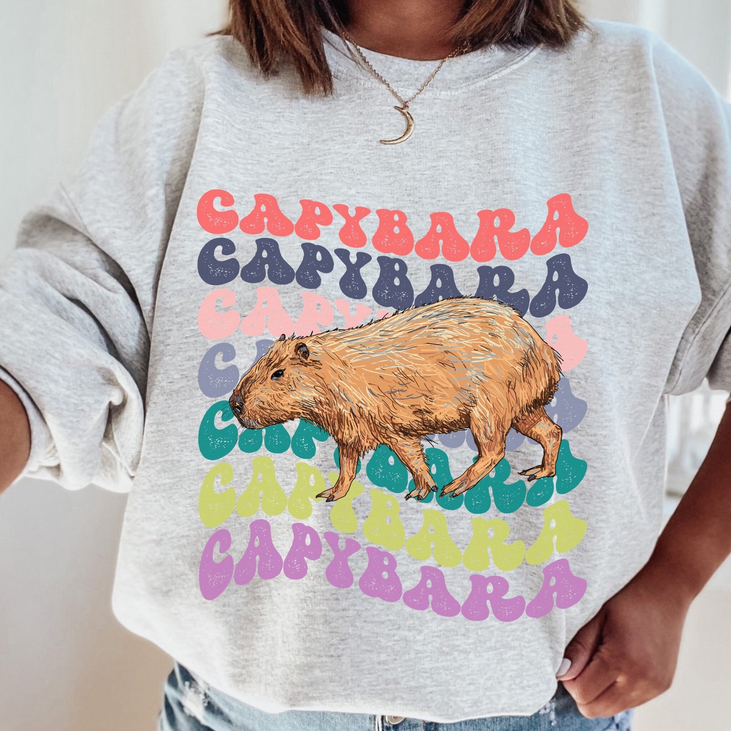 Capybara Shirt, Capybara Sweatshirt, Retro Crewnecks, Preppy Sweatshirt, Capybara Gift, Capybara Lover