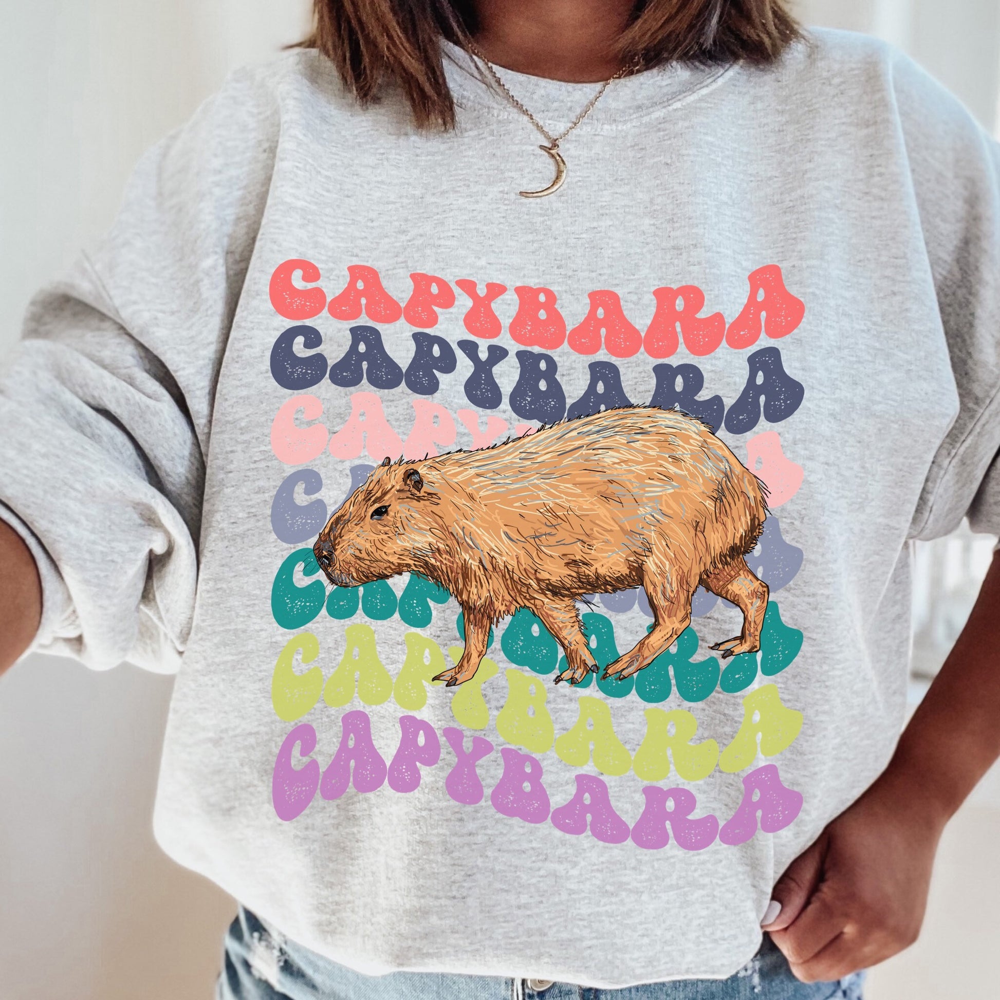 Capybara Shirt, Capybara Sweatshirt, Retro Crewnecks, Preppy Sweatshirt, Capybara Gift, Capybara Lover