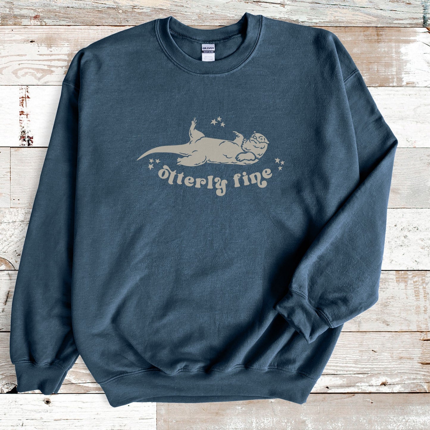 Otter Sweatshirt, Sea Otter Gifts Otter Sweater Sea Animals River Otter Shirt Ocean Animal Shirt Salty Granola Girl Beachy Sweatshirt