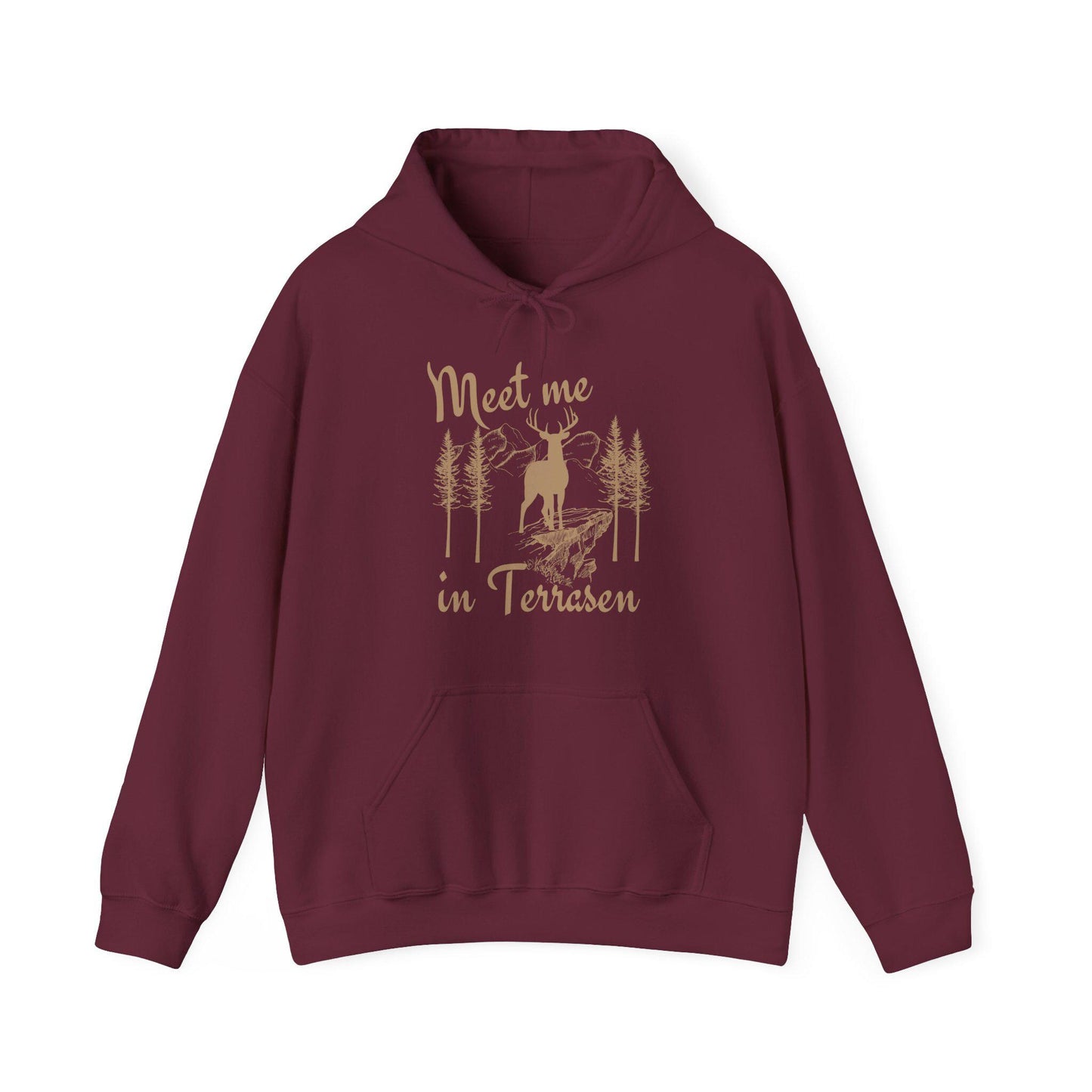 Terrasen Throne of Glass Hoodie, Meet Me In Terrasen Licensed SJM Merch, SJM Sweatshirt, KOA Aelin Galathynius Kingdom of Ash Hoodie