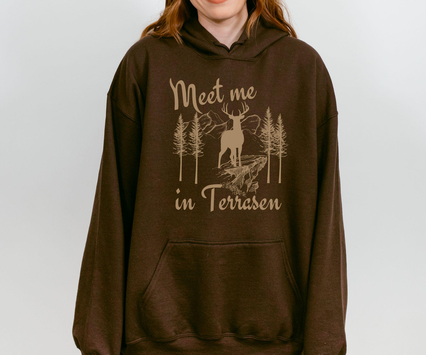 Terrasen Throne of Glass Hoodie, Meet Me In Terrasen Licensed SJM Merch, SJM Sweatshirt, KOA Aelin Galathynius Kingdom of Ash Hoodie