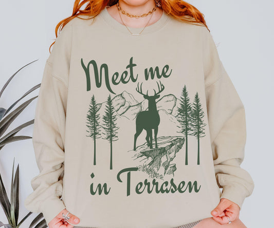 Terrasen Throne of Glass Sweatshirt, Meet Me In Terrasen Licensed SJM Merch, SJM Merch, KOA Aelin Galathynius Kingdom of Ash Sweatshirt