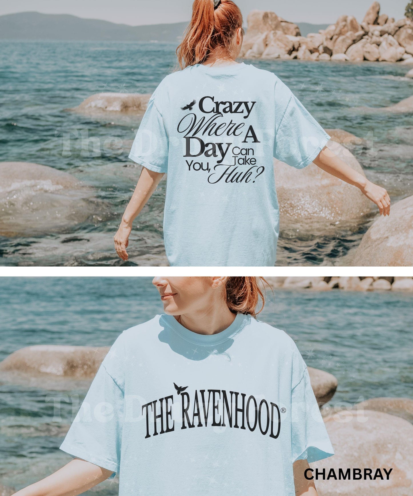 Tyler Jennings Shirt, The Ravenhoood Series Shirt, Licensed Kate Stewart Book Merch, Flock Book Quote Tshirt, Crazy Where a Day Can Take You
