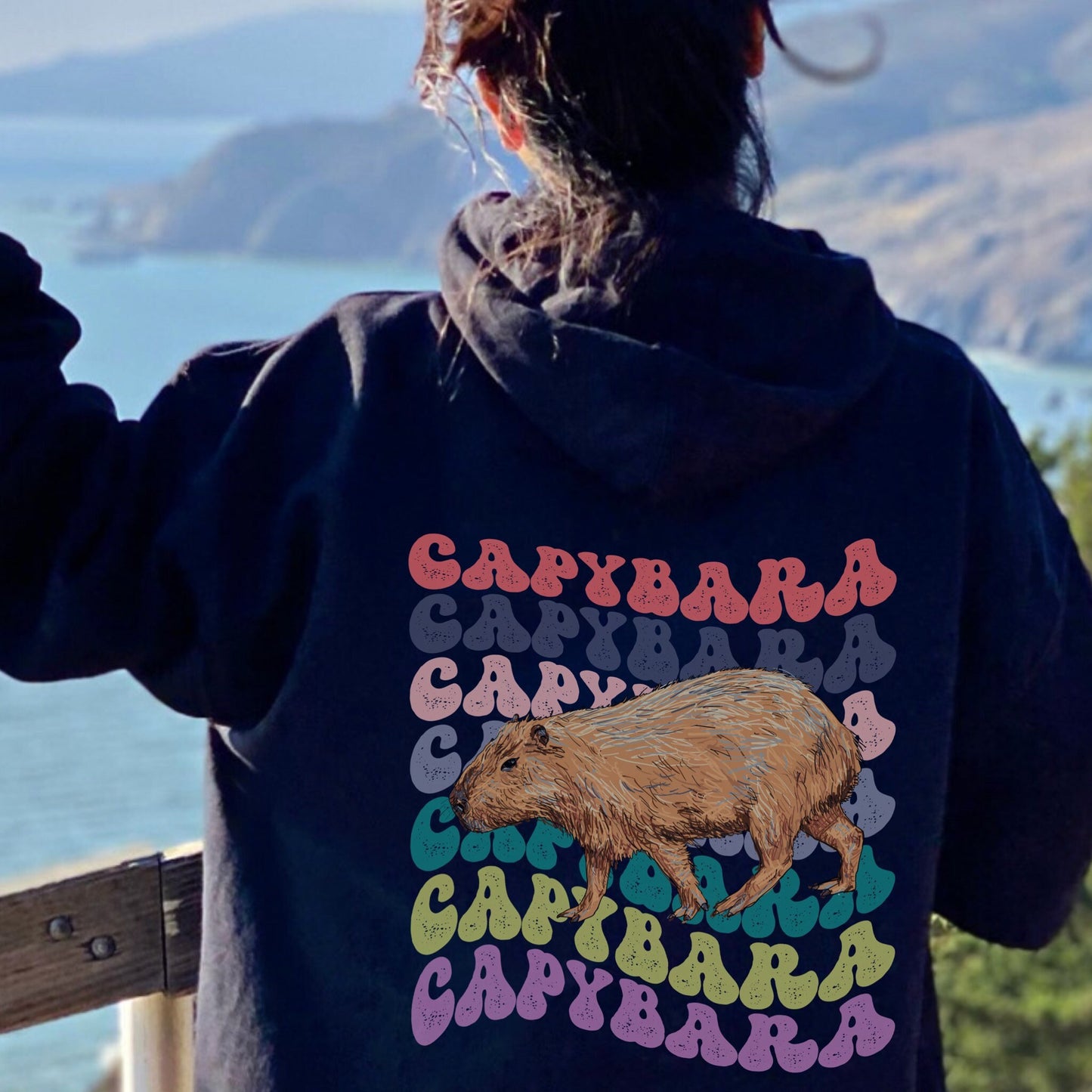 Capybara Shirt, Capybara Sweatshirt, Capybara Hoodie, Back Print Retro Hoodie, Capybara Gift, Aesthetic Hoodie, Animal Hoodie